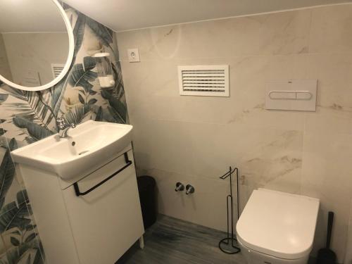 ein Badezimmer mit einem Waschbecken, einem WC und einem Spiegel in der Unterkunft casa julian-inn in Madrid