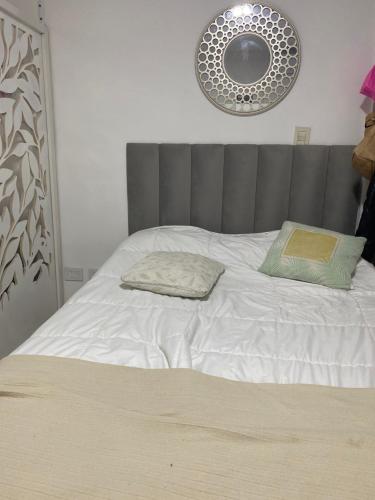 łóżko z 2 poduszkami i lustrem na ścianie w obiekcie Monoambiente amplió w mieście Rosario