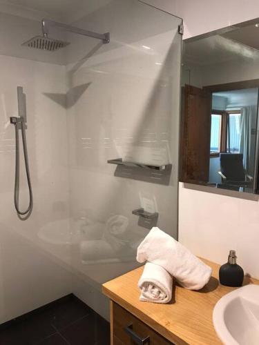 a bathroom with a shower and a towel on a counter at Snowcapped Peaks in Mount Beauty