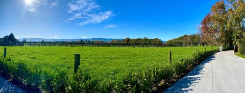a field of green grass next to a fence at Matamata Country B&B in Matamata