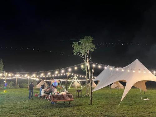 un grupo de personas sentadas en una mesa bajo las luces en Lèn Chùa Ecostay en Phong Nha