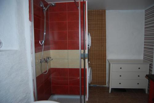 a bathroom with a shower with red tiles at City Centre Duplex Apartment in Tallinn