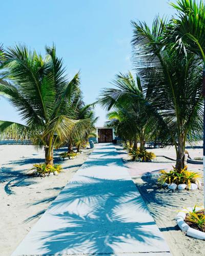 um caminho alinhado com palmeiras numa praia em Suites Playas em Data de Villamil