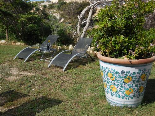 Φωτογραφία από το άλμπουμ του Case Vacanze Farchikalà στη Λαμπεντούζα