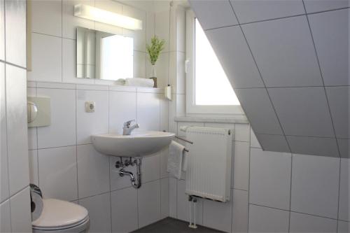 een badkamer met een wastafel, een toilet en een raam bij Roter Erik App 3, DG li in Kirchdorf