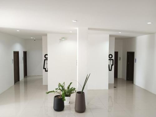 a hallway with two potted plants in a building at 22 Twenty-Two Hotel ทะเวนตี้-ทู โฮเทล in Ban Pa Muat