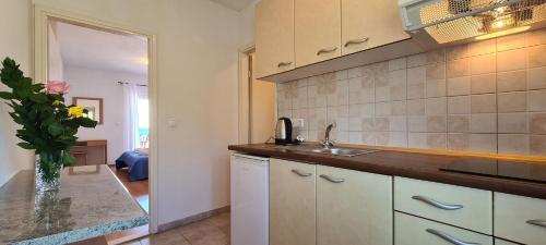Apartments Ana i Ante Punta في ميلنا: مطبخ مع حوض و كونتر توب