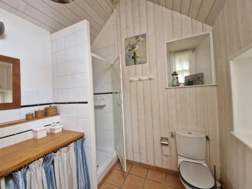 ein Bad mit einem WC und einer Dusche in der Unterkunft Set of 2 houses in Plougasnou, 300 m from the coast in Plougasnou