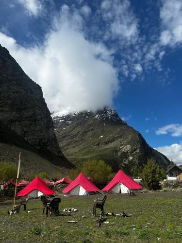 un groupe de tentes dans un champ avec une montagne dans l'établissement Bored Ape Jispa - Camp Site, à Jispa