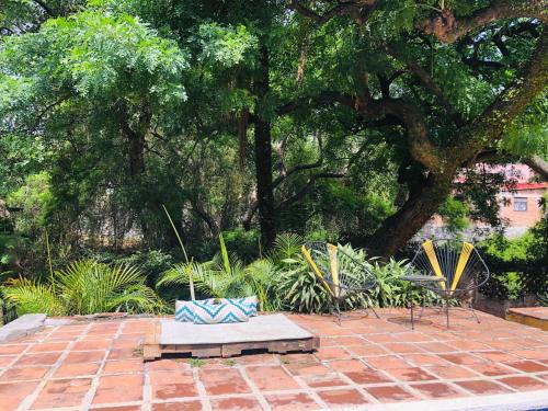 a patio with two chairs and a table and a tree at Bungalito en Cuernavaca in Cuernavaca