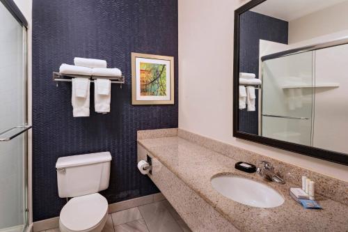 a bathroom with a sink and a toilet and a mirror at Fairfield Inn Saint Louis Collinsville in Collinsville