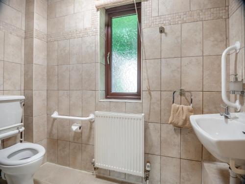 uma casa de banho com um WC e um lavatório em Clover Cottage - W40835 em Horsford