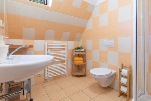 a bathroom with a sink and a toilet at Penzion Na Lomné in Trojanovice