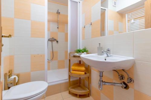 a bathroom with a sink and a toilet and a shower at Penzion Na Lomné in Trojanovice