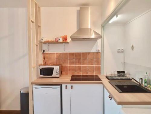une petite cuisine avec un micro-ondes et une cuisinière dans l'établissement Joli studio proche vieille ville + parking, à Annecy