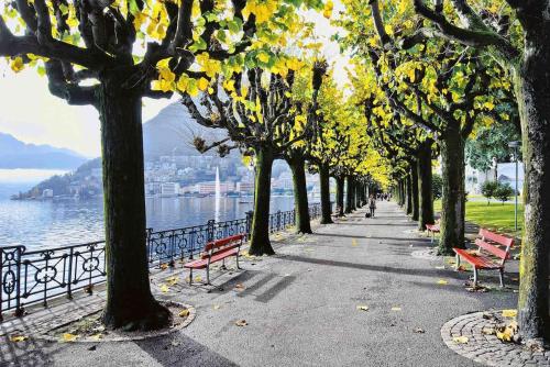 a sidewalk with benches and trees next to the water at Lakeside Attic in Lugano