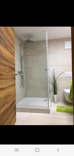 a shower with a glass door in a bathroom at Relax.Land 2 Apartments (13 persons) Grinzens in Grinzens