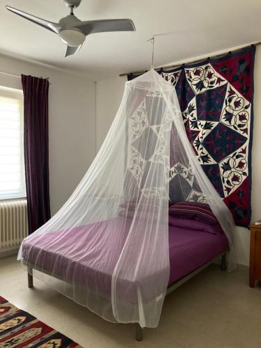 a bedroom with a bed with a mosquito net at The Casa Blu dependance La Casa Gialla in Tricesimo