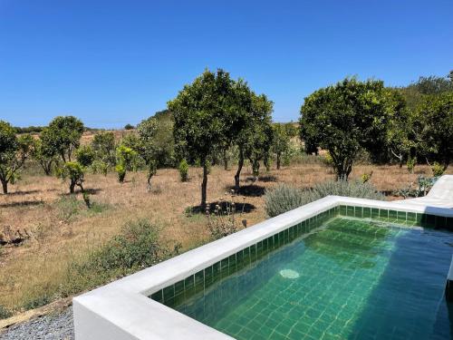 a swimming pool in front of a field with trees at SeaHouseNature in Porto Covo