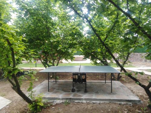 a picnic table under a bunch of trees at Vila Viktori in Pirot