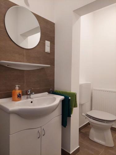 a bathroom with a sink and a toilet and a mirror at Pension Welserhof in Wilfersdorf