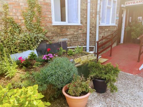 a garden with plants in pots in front of a house at St George Hotel Great Yarmouth in Great Yarmouth