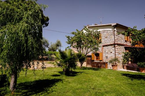 a house with a yard with a palm tree in front of it at Villa La Quercia - Garden&Relax in Gavorrano