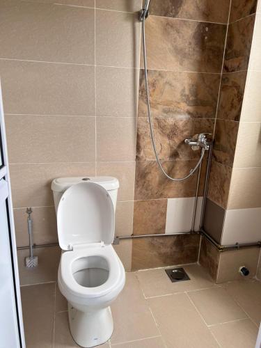 a bathroom with a toilet and a shower at Dear Dino Villa Cameron Highlands in Cameron Highlands
