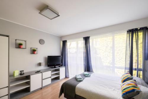 Μια τηλεόραση ή/και κέντρο ψυχαγωγίας στο Apartamenty Stare Zoo