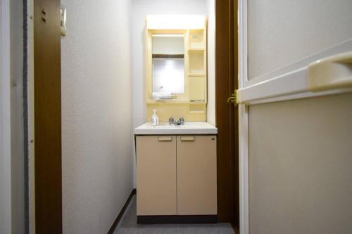 a bathroom with a sink and a mirror at メゾン八千代102 in Tokyo