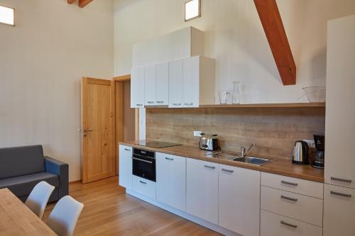 Kuchyňa alebo kuchynka v ubytovaní Kovárna Residence