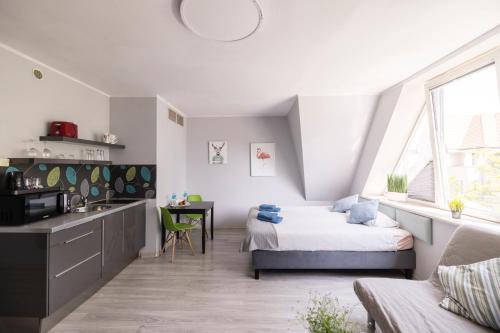 Η κουζίνα ή μικρή κουζίνα στο Apartamenty Stare Zoo