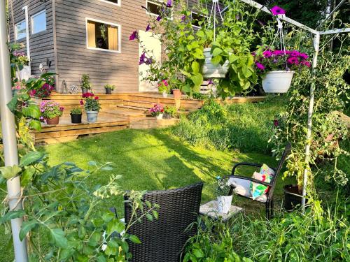 a backyard with a garden with potted plants at 15 min från Ullared! Ny stuga med hög standard! in Älvsered
