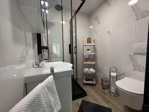 een witte badkamer met een wastafel en een toilet bij Apartment Toni in Lovran