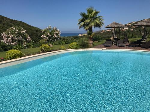 Πισίνα στο ή κοντά στο Résidence de Tourisme Mare e Macchia