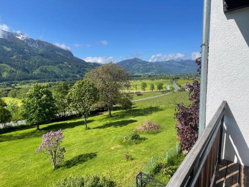 a view of a green field with mountains in the background at Berghaus Gesäuse Pension in Weng im Gesäuse
