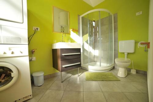 Apartma Most في موست نا سوتشي: حمام مع دش ومرحاض ومغسلة