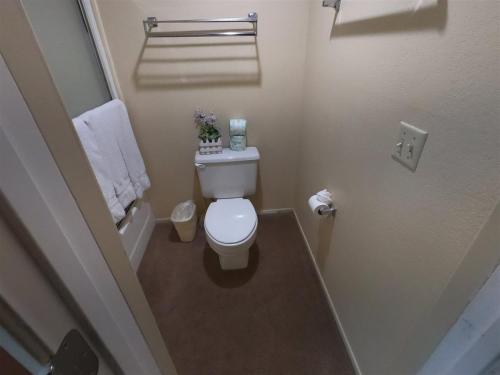 a small bathroom with a toilet and a towel at Rr-edgewater13 in June Lake