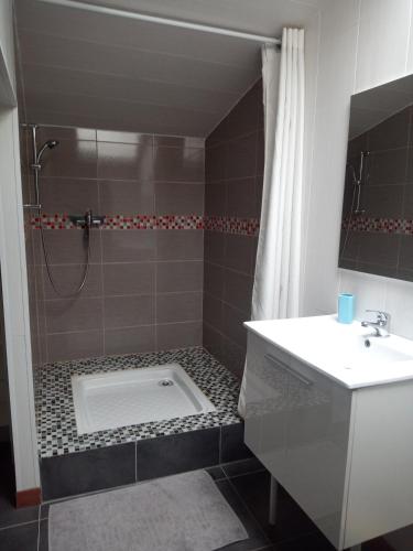 une salle de bain avec douche et lavabo dans l'établissement Chambre d'hôtes 84 de la Manelière, à La Flocellière