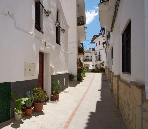 an empty alley with potted plants on the side of buildings at The Nook (El Recoveco) in Canillas de Aceituno
