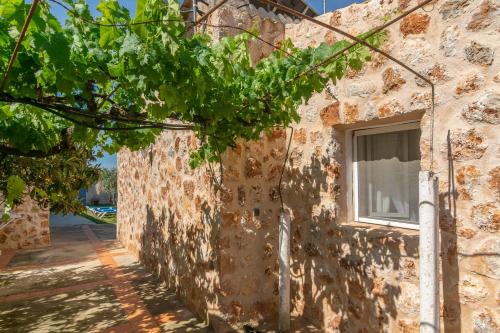 a building with a window and a bunch of grapes at Son Blau in Llucmajor