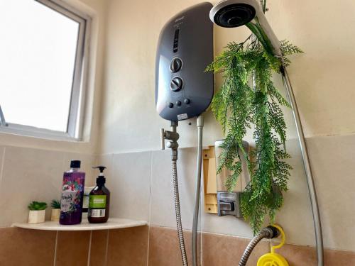 una doccia in bagno con una pianta di Zarahome a Tambun