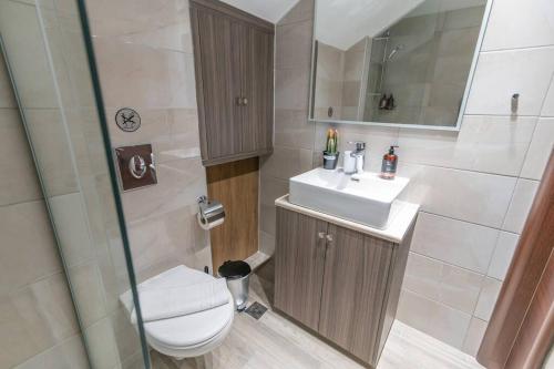 a bathroom with a toilet and a sink and a shower at Aurora apartments Room 1 in Marmari
