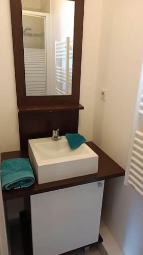 une salle de bain avec un lavabo et un miroir dans l'établissement T2 Lumineux et parking, à La Rochelle