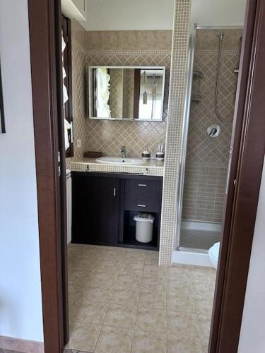 a bathroom with a sink and a shower and a mirror at Appartamento Oasi di Pontenuovo in Sermoneta