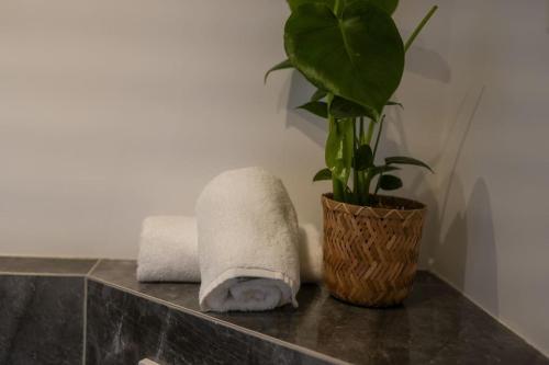 a bathroom with towels and a plant on a counter at Boho Stil Wohnung mit Flussblick nahe Stadtzentrum in Koblenz