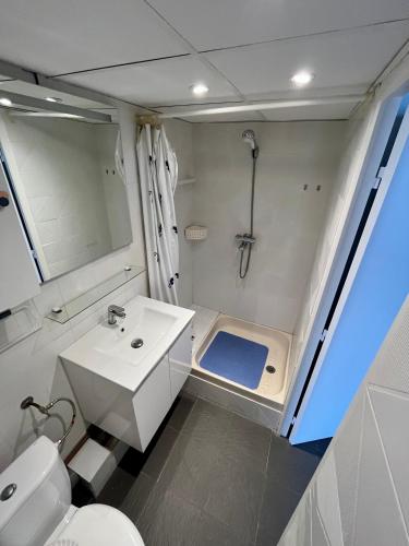 une salle de bain avec une douche, un lavabo et des toilettes dans l'établissement Appartement de standing au port climatisé, centre-ville, proche plage et commerces, à Calvi