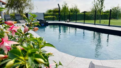 a swimming pool in a yard with pink flowers at Les Sources d'Hon - Gîte & Espace wellness in Hon-Hergies