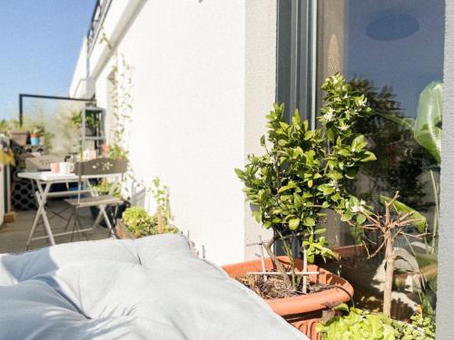 a patio with potted plants on a balcony at L'Olympique: appartement cosy, vue canal grande terrasse et parking in Vaires-sur-Marne