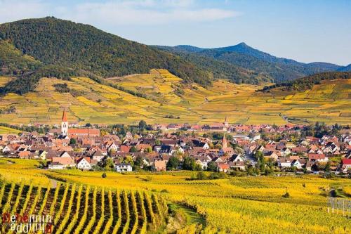 a small town in a valley with vineyards and mountains at Chez Florence Ammerschwihr in Ammerschwihr